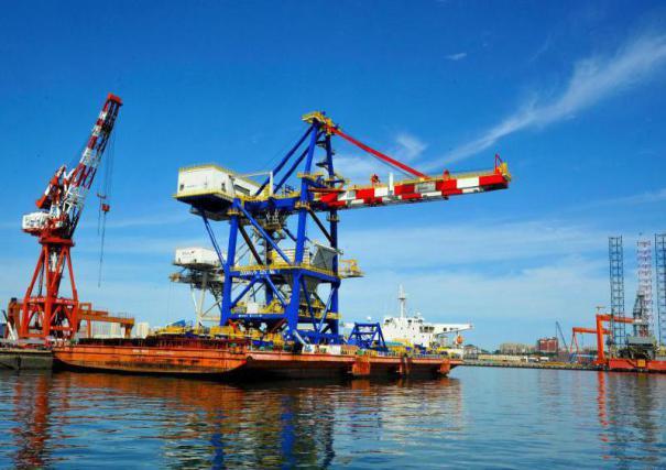 散糧港機設(shè)備-卸船機